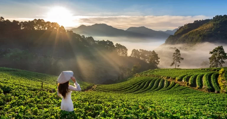 Cand sa mergi in Vietnam