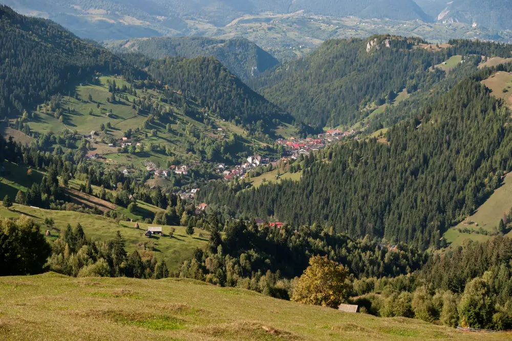 Comuna Moieciu