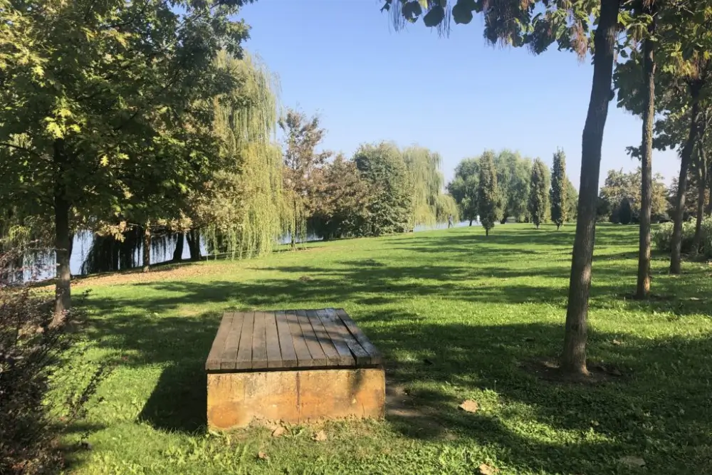 Parcul Dendrologic Chitila