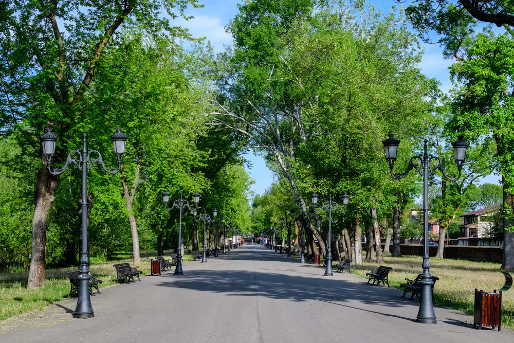 Parcul Mogosoaia