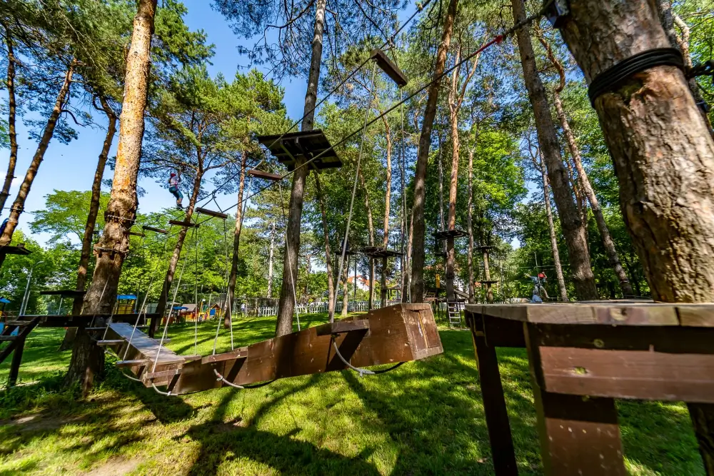 Parcul de Aventura Comana
