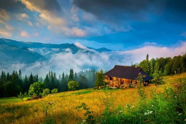 Locuri de vizitat in Bucovina