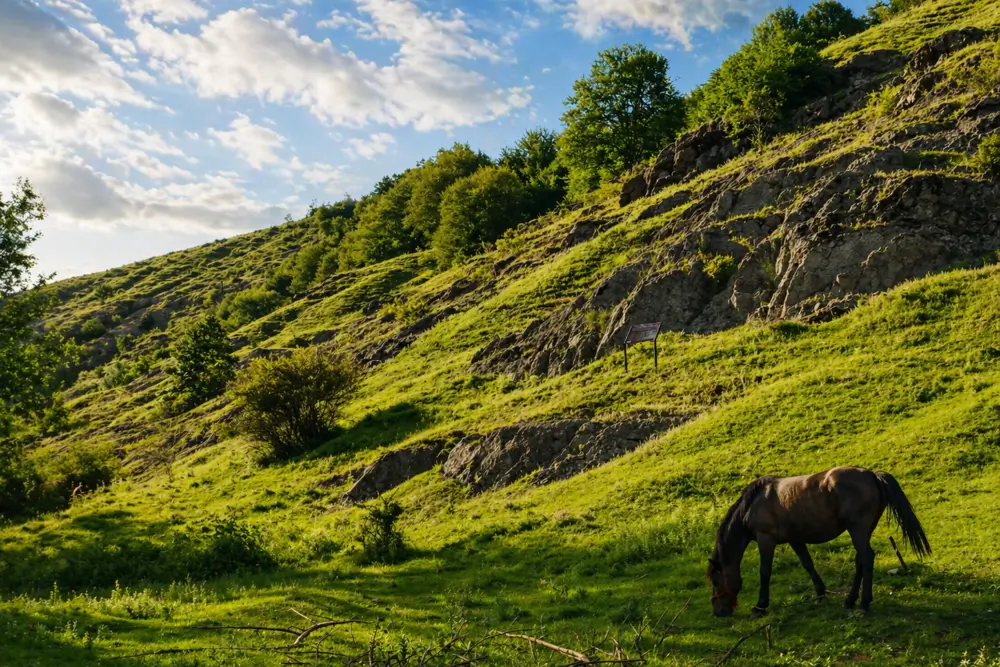 Geoparcul International UNESCO Tara Hategului