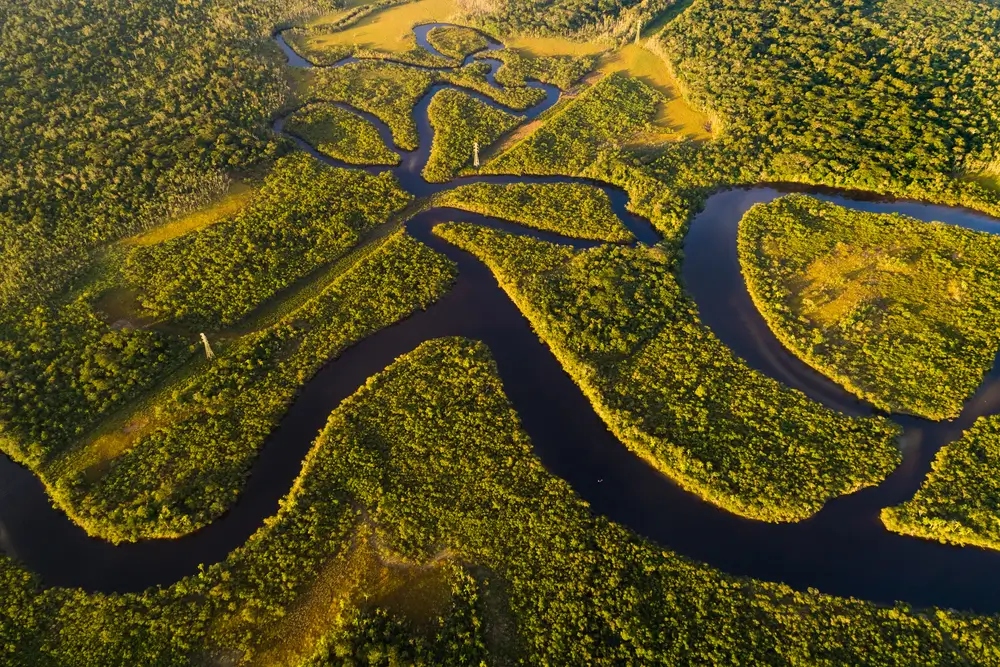 Amazonul si padurea tropicala