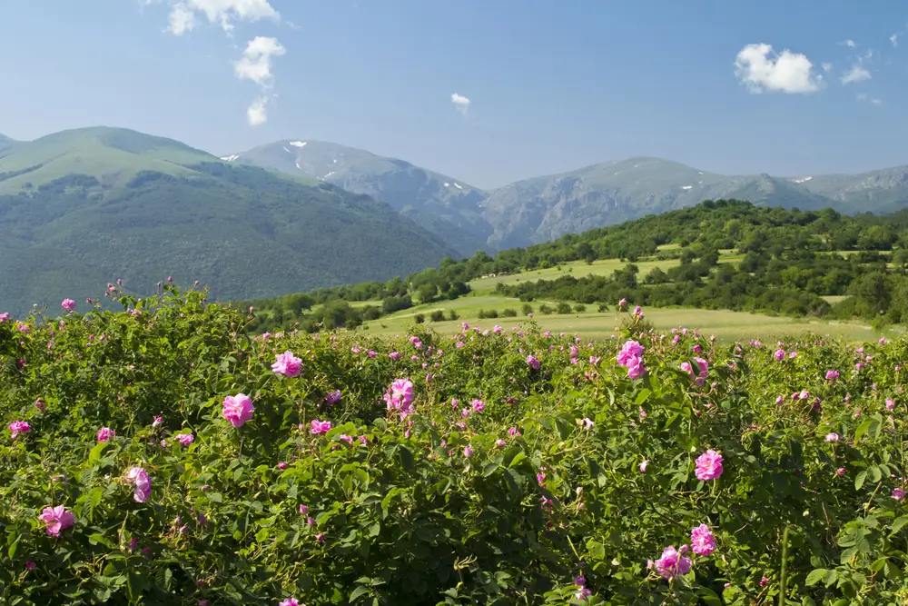 Kazanlak (Valea Trandafirilor)