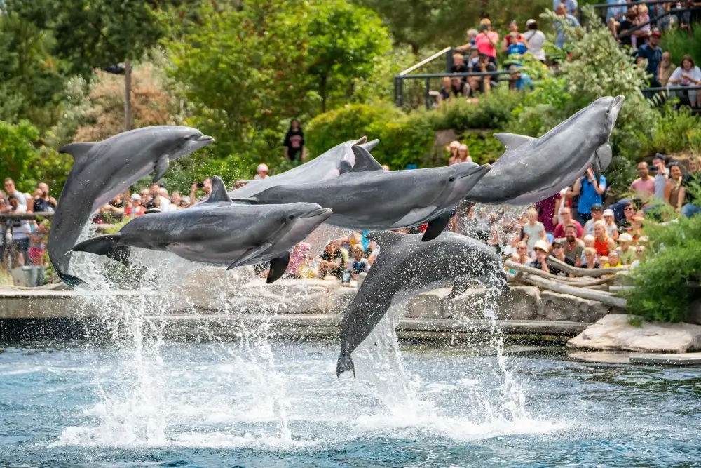 Gradina Zoologica din Nuremberg